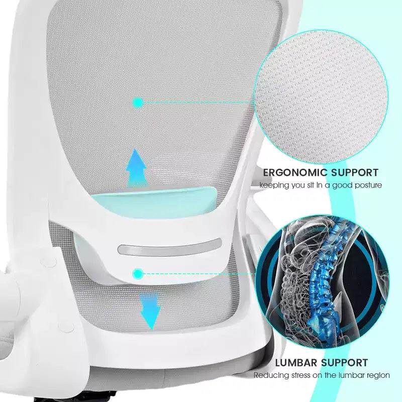 Sedia da ufficio ergonomica